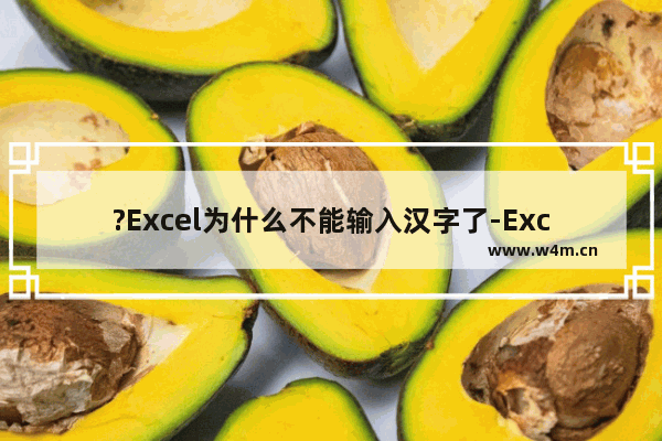 ?Excel为什么不能输入汉字了-Excel表格解决无法正常输入中文的教程