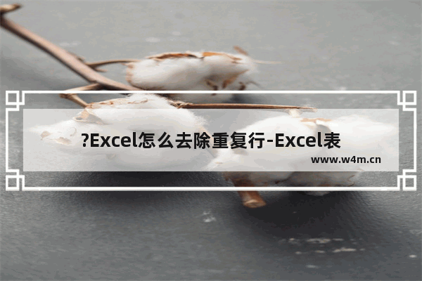 ?Excel怎么去除重复行-Excel表格中删除重复数据所在行的教程