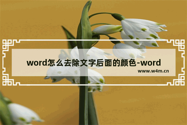 word怎么去除文字后面的颜色-word文档字体有底色的去除方法