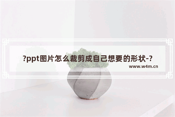 ?ppt图片怎么裁剪成自己想要的形状-?ppt图片按形状裁剪的设置方法