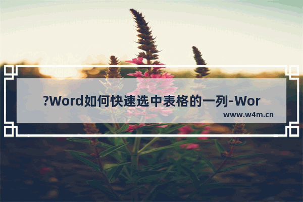 ?Word如何快速选中表格的一列-Word文档中选中某一列表格的方法教程