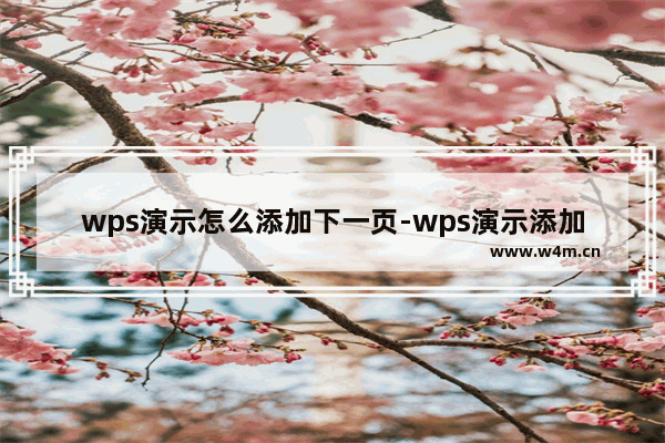 wps演示怎么添加下一页-wps演示添加新空白幻灯片的方法