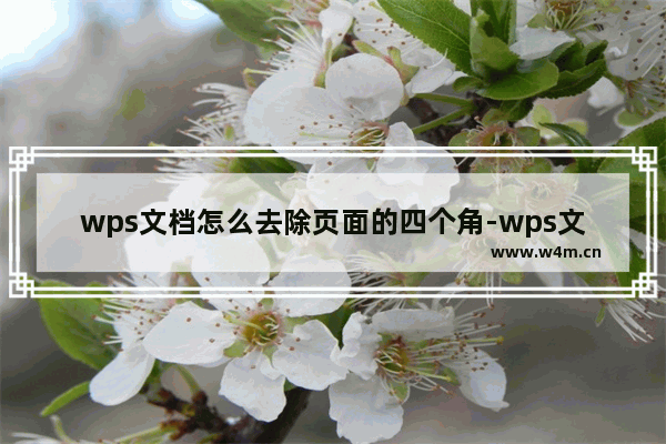 wps文档怎么去除页面的四个角-wps文档去掉四周四个角的方法