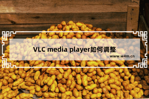 VLC media player如何调整音频效果-VLC media player调整音频效果的方法