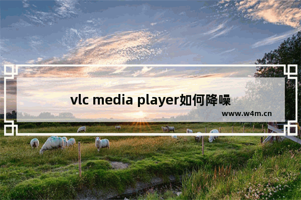 vlc media player如何降噪音-vlc media player进行降噪的方法