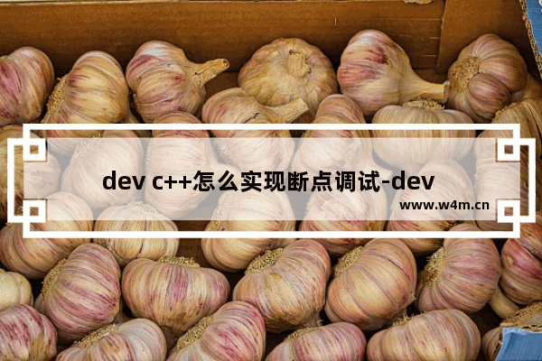 dev c++怎么实现断点调试-dev c++进行断点调试的方法