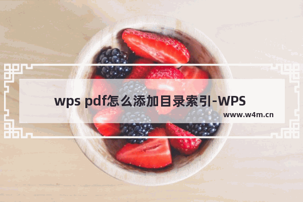 wps pdf怎么添加目录索引-WPS PDF设置目录索引书签的方法