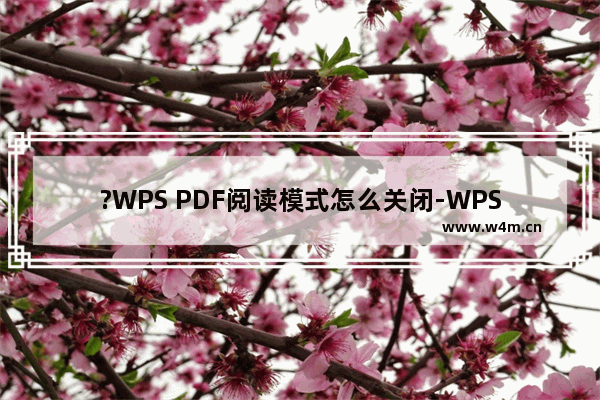 ?WPS PDF阅读模式怎么关闭-WPS PDF电脑版退出阅读模式的方法教程