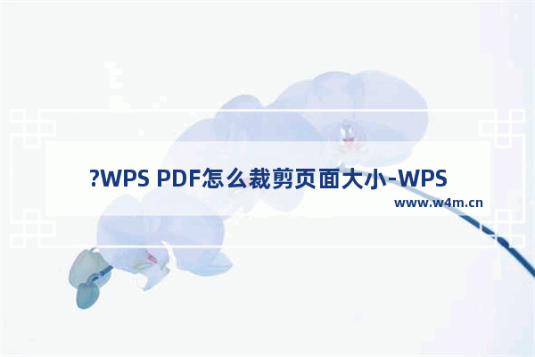 ?WPS PDF怎么裁剪页面大小-WPS PDF电脑版裁剪页面的方法教程