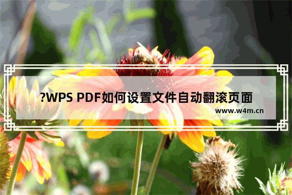 ?WPS PDF如何设置文件自动翻滚页面-WPS PDF电脑版设置自动滚动的方法教程