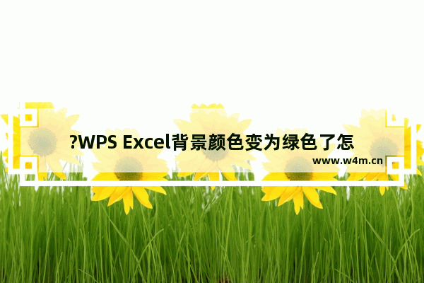 ?WPS Excel背景颜色变为绿色了怎么办-WPS表格电脑版解决背景变成绿色的方法教程