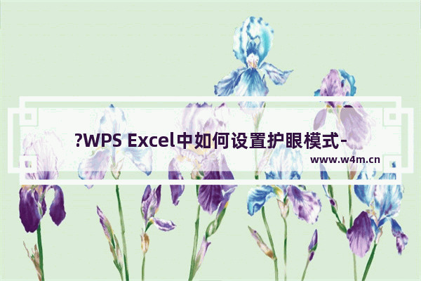 ?WPS Excel中如何设置护眼模式-WPS表格电脑版调成护眼模式的方法教程