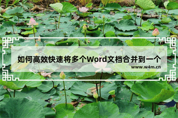 如何高效快速将多个Word文档合并到一个Word文档中-WPS将多个Word文档合并到一个Word中的方法