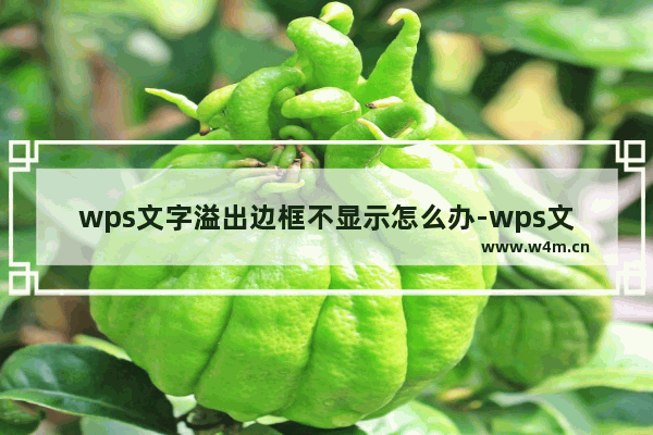 wps文字溢出边框不显示怎么办-wps文本框输入文字溢出被隐藏的显示方法