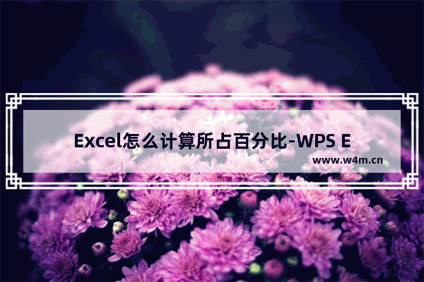 Excel怎么计算所占百分比-WPS Excel表格计算所占百分比的方法