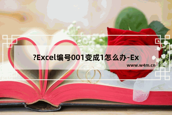 ?Excel编号001变成1怎么办-Excel表格中解决编号001自动变为1的方法教程