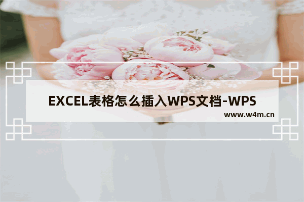 EXCEL表格怎么插入WPS文档-WPS Excel中导入Word文档的方法