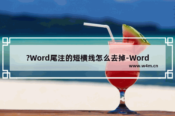 ?Word尾注的短横线怎么去掉-Word文档中删除尾注分隔横线的方法教程