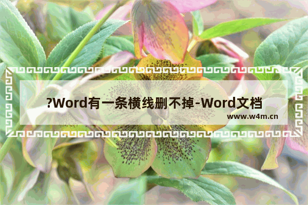 ?Word有一条横线删不掉-Word文档中出现一条横线无法选中删除的方法教程