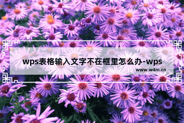 wps表格输入文字不在框里怎么办-wps表格在单元格中输入文字不显示的解决方法