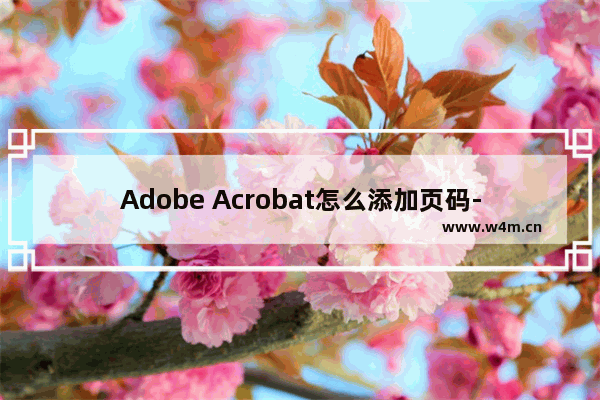 Adobe Acrobat怎么添加页码-adobe acrobat Pro设置页码的方法