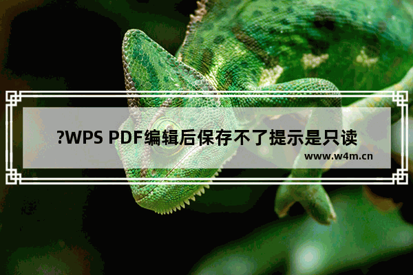 ?WPS PDF编辑后保存不了提示是只读文件怎么办-WPS pdf电脑版解除只读模式的方法教程