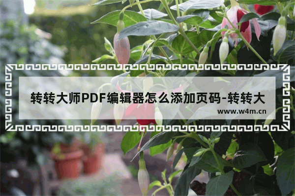 转转大师PDF编辑器怎么添加页码-转转大师PDF编辑器插入页码的方法