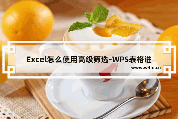 Excel怎么使用高级筛选-WPS表格进行高级筛选的方法