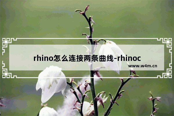 rhino怎么连接两条曲线-rhinoceros 5.0将两条曲线组合成一条线的方法