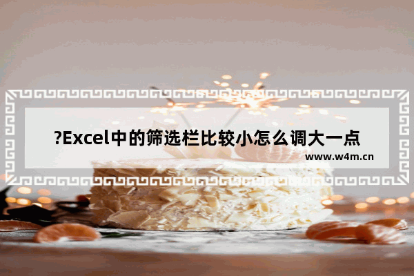 ?Excel中的筛选栏比较小怎么调大一点-Excel表格中调整筛选栏大小的方法教程