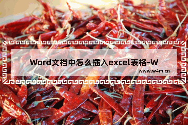 Word文档中怎么插入excel表格-WPS Word文档中插入Excel表格的方法