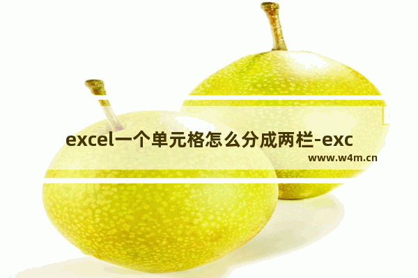 excel一个单元格怎么分成两栏-excel将一个单格子中的文字分在两个格子里的方法