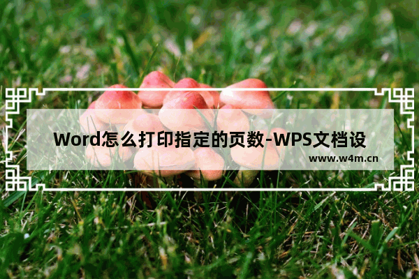 Word怎么打印指定的页数-WPS文档设置打印指定的页面范围的方法