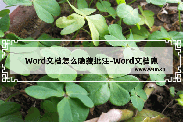 Word文档怎么隐藏批注-Word文档隐藏批注的方法