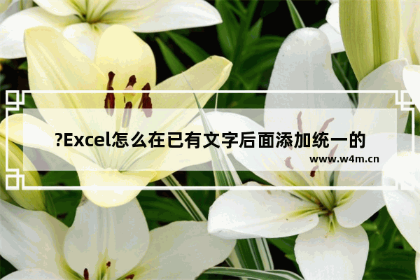 ?Excel怎么在已有文字后面添加统一的文字-Excel表格批量在文本后统一加字的方法教程