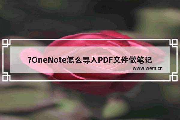 ?OneNote怎么导入PDF文件做笔记-Microsoft OneNote导入pdf做笔记的方法教程