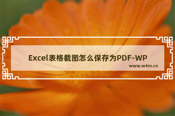 Excel表格截图怎么保存为PDF-WPS Excel中截取的图片转换为PDF文档的方法