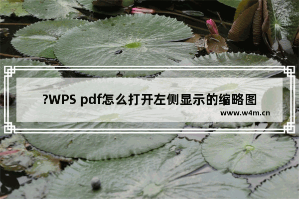 ?WPS pdf怎么打开左侧显示的缩略图-WPS PDF电脑版调出左侧缩略预览图的方法教程