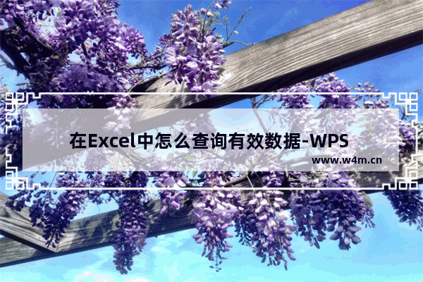 在Excel中怎么查询有效数据-WPS Excel中筛选有效数据的方法