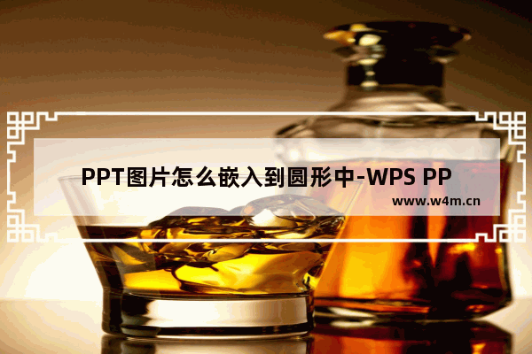 PPT图片怎么嵌入到圆形中-WPS PPT中将图片嵌入到圆形里面的方法