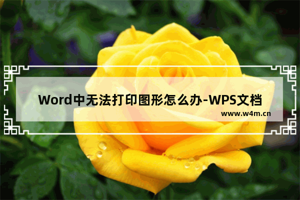 Word中无法打印图形怎么办-WPS文档中图形打印不出来的解决方法