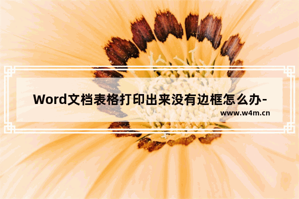 Word文档表格打印出来没有边框怎么办-Word文档表格打印出来没有边框的解决方法