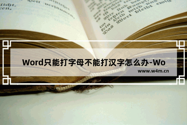 Word只能打字母不能打汉字怎么办-Word只能打字母不能打汉字的解决方法