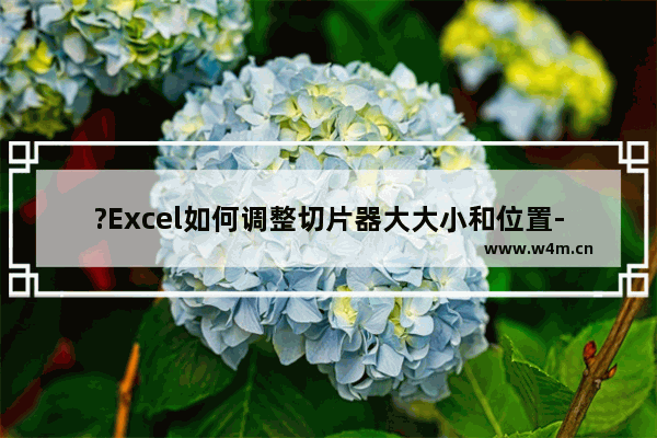 ?Excel如何调整切片器大大小和位置-Excel表格中调节切片器的方法教程