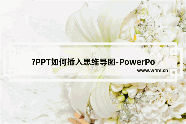 ?PPT如何插入思维导图-PowerPoint演示文稿中插入思维导图的方法教程