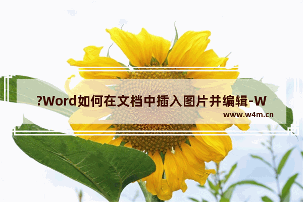 ?Word如何在文档中插入图片并编辑-Word文档中插入图片的方法教程