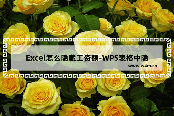 Excel怎么隐藏工资额-WPS表格中隐藏工资额的方法