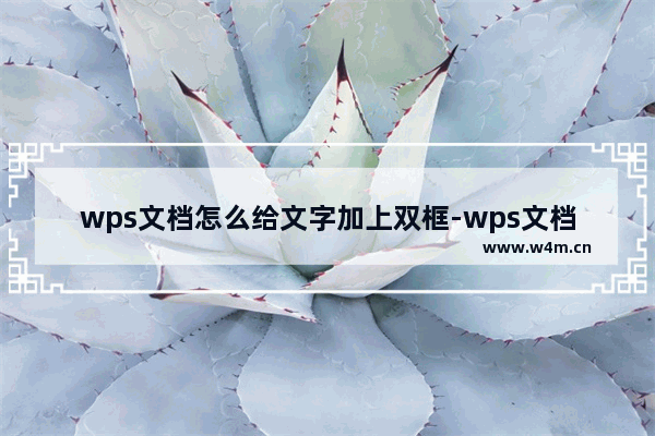 wps文档怎么给文字加上双框-wps文档给文字加上双框的方法