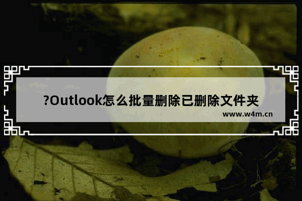 ?Outlook怎么批量删除已删除文件夹中的邮件-Outlook邮箱中彻底删除邮件的方法教程