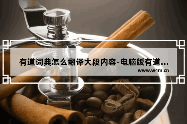 有道词典怎么翻译大段内容-电脑版有道词典快速翻译整段段落的方法